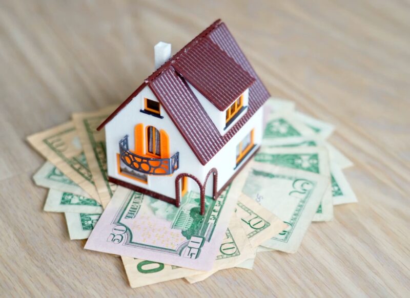 prikaz osobe i kuće