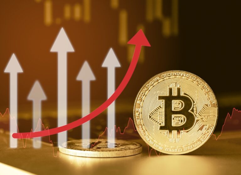 prikaz kripto novčanice